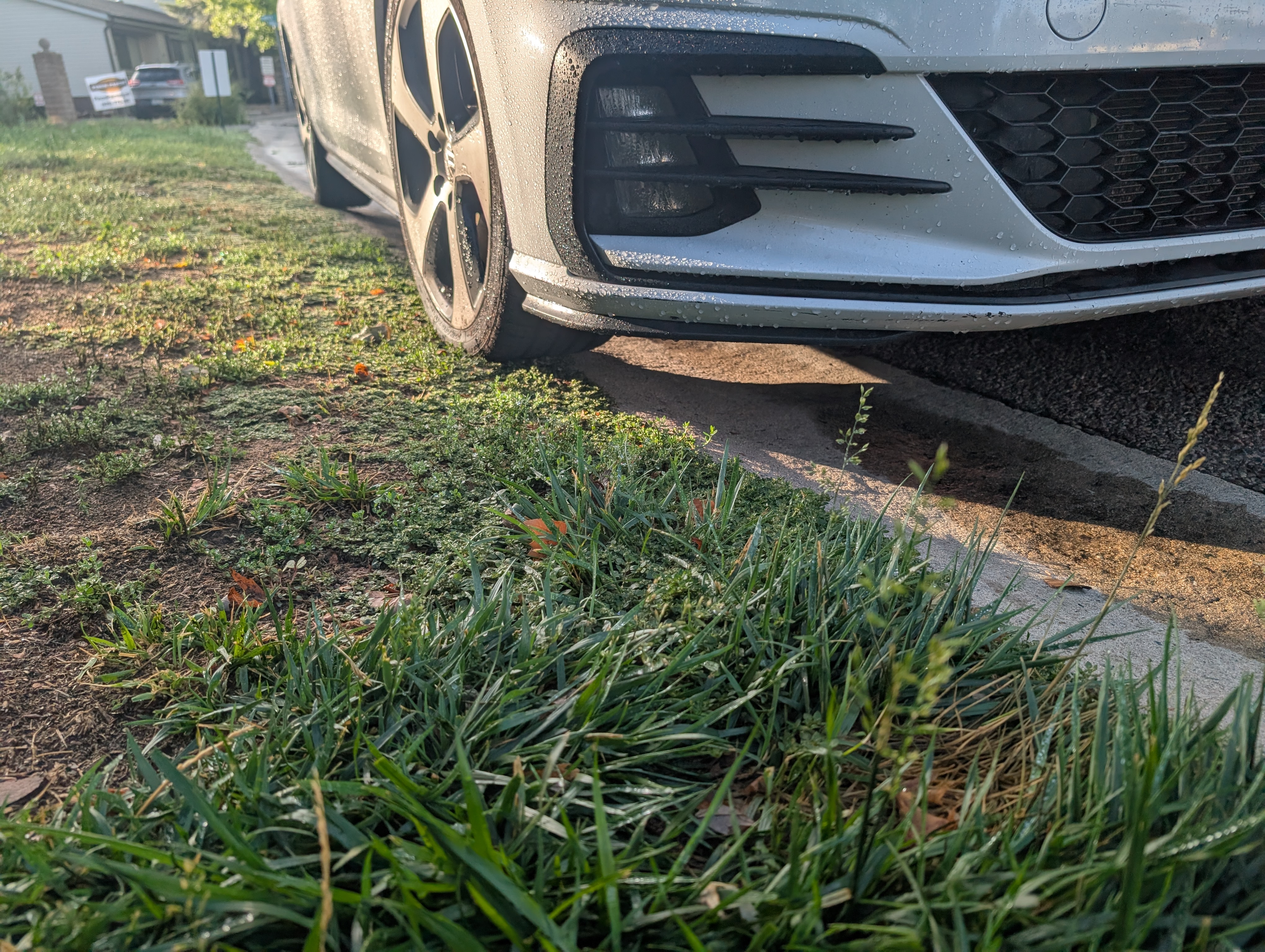 mk7.5 gti shot from a low front angle, with dewdrops on it.